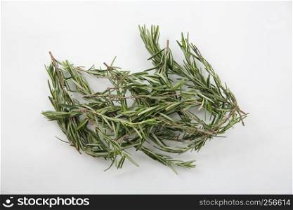 Rosemary isolated in white background