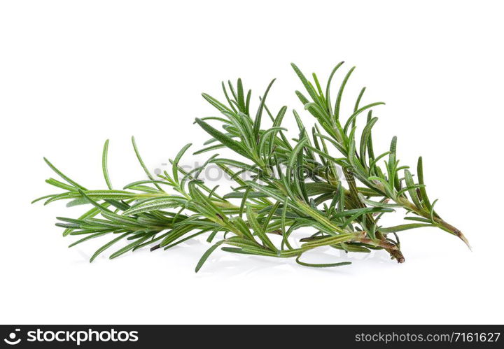 rosemary isolated on white background