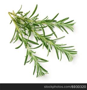 Rosemary isolated on white background. Top view