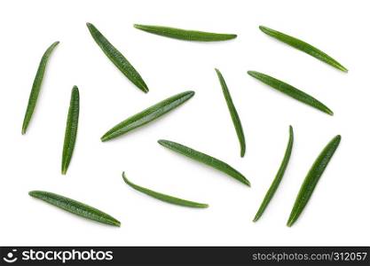 Rosemary leaves isolated on white background. Top view