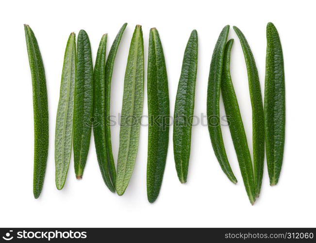 Rosemary leaves isolated on white background. Top view