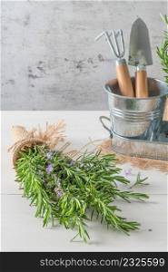 Rosemary sprigs bunch nestled inside a burlap bag tied with twine on wooden background. Fresh organic herbs with copy space for text