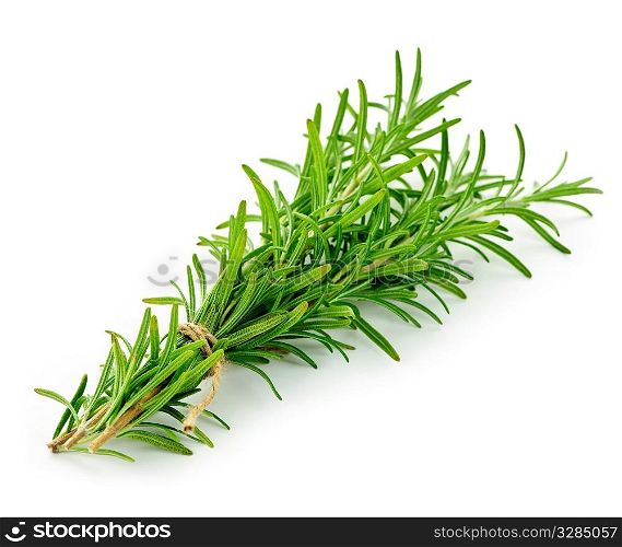 Rosemary sprigs tied in bundle isolated on white background