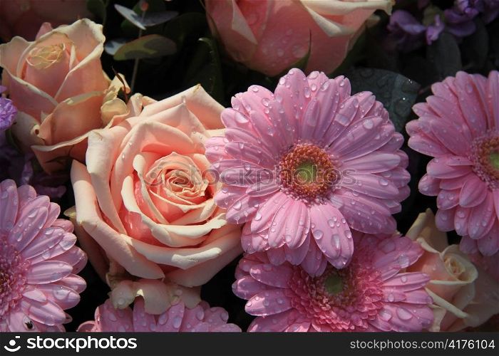 Roses and gerberas after a rainshower in two shades of pink