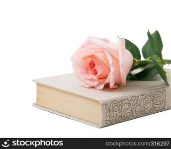 Roses and old book isolated white background.