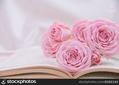 Roses and old book. Toned image