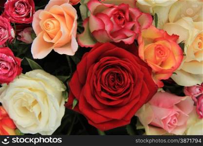 Roses in various shades of red, orange and pink in a bridal bouquet
