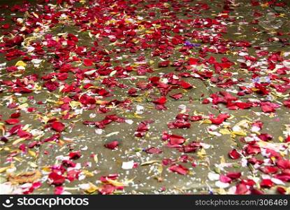 Roses leaves on ground after wedding