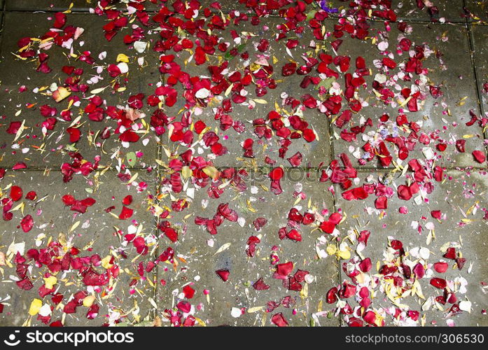 Roses leaves on ground after wedding