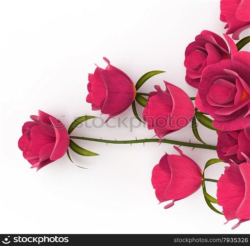 Roses Love Meaning Devotion Compassion And Petal