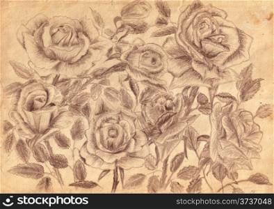 roses on old paper