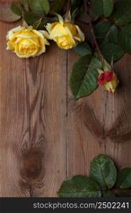 Roses on weathered wooden table