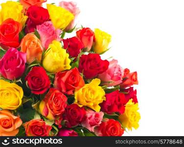 roses on white background. bouquet of red, pink, yellow, orange colored rose flowers