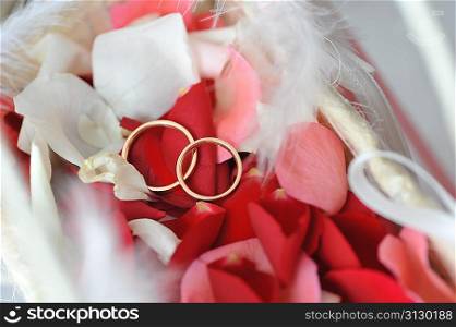 roses petals and wedding rings