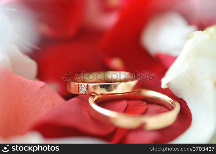 roses petals and wedding rings