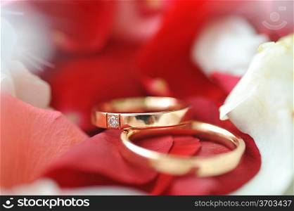 roses petals and wedding rings