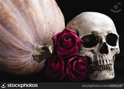 roses with human skull pumpkin