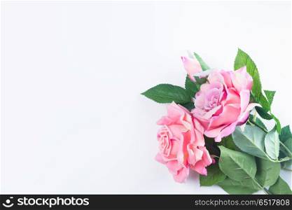 Roses with leaves. Pink roses with leaves, flat lay flower composition on white background