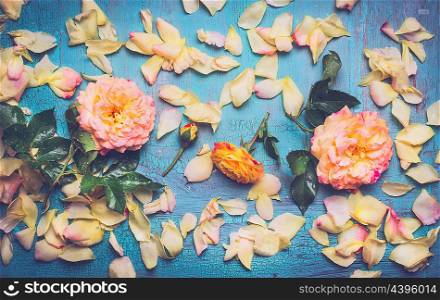 Roses with petals on blue background, top view. Floral card