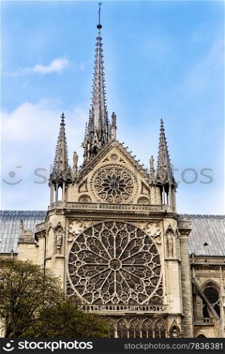 Rosettes from Notre Dame Cathedrale in Paris