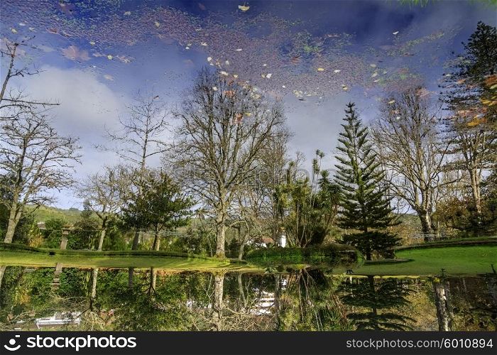 Rotated reflection of park with palms and pool on Azores&#xA;