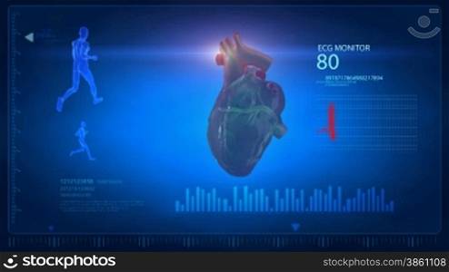 Rotating real human heart with pulse trace