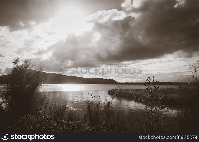 Rotorua lake view, New Zealand. Black and white picture. Rotorua lake, New Zealand. Black and white picture