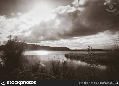 Rotorua lake view, New Zealand. Black and white picture. Rotorua lake, New Zealand. Black and white picture