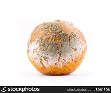 rotten and moldy orange on white background