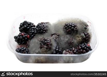 rotten blackberries in a plastic box isolated on white