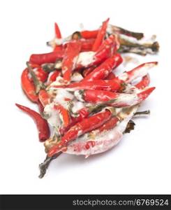 rotten chili pepper isolated on white background