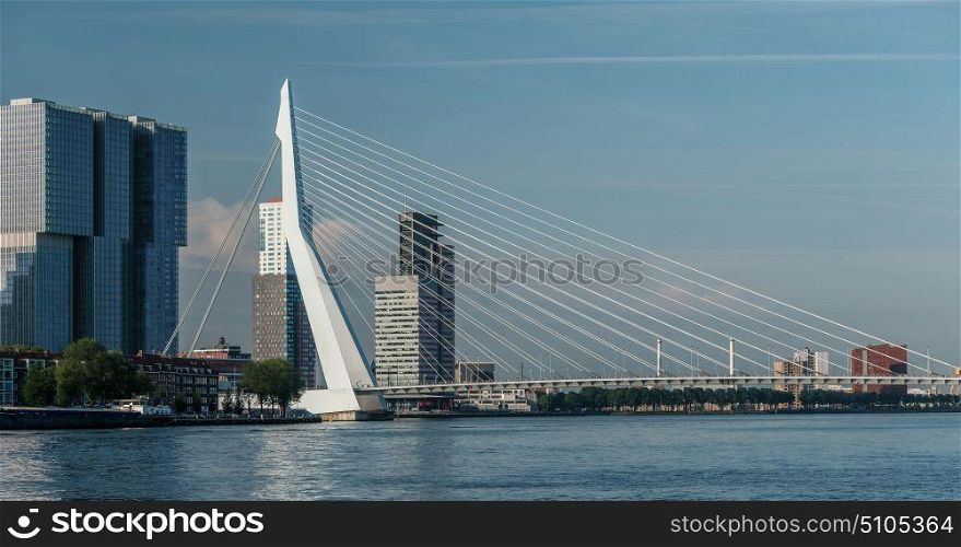 Rotterdam city cityscape skyline with Erasmus bridge and Nieuwe Maas (Rhine) river in front. South Holland, Netherlands.