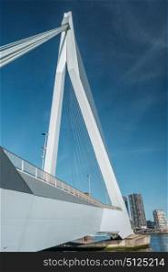 Rotterdam city cityscape with Erasmus bridge. South Holland, Netherlands.