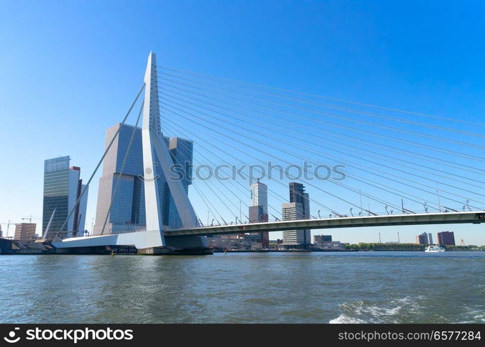 Rotterdam port skyline at sunny summer day, Netherlands. Rotterdam skyline, Netherlands