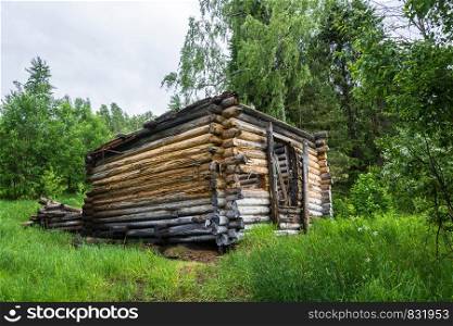 Rotting logs in the wooden house on background of green grass and leaves.