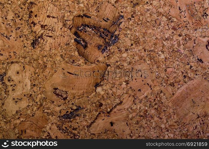 rough brown wallpaper of pieces of natural cork tree