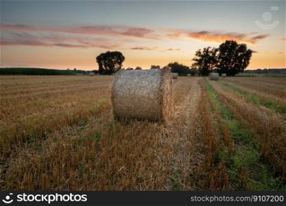 Round bales of hay lying on the stubble and the evening sky, summer view