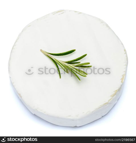 Round brie or camambert cheese isolated on a white background. Round brie or camambert cheese on a white background