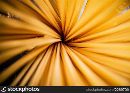 Round bundle of spaghetti dry. Macro background. High quality photo. Round bundle of spaghetti dry.
