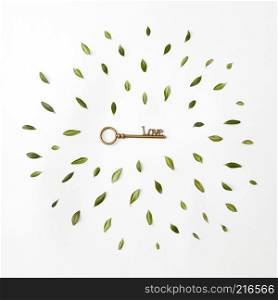 round frame of petals and a key to heart on a white background, Flat lay. round frame of leaves