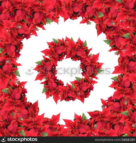 round frame with wreath from christmas flowers isolated on white