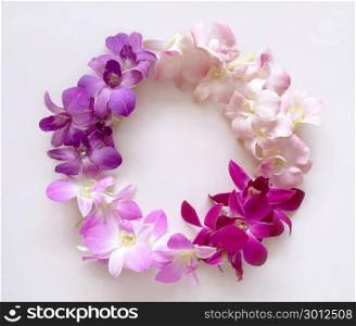 Round frame wreath made of various orchid flowers. Flat lay. Nature background.