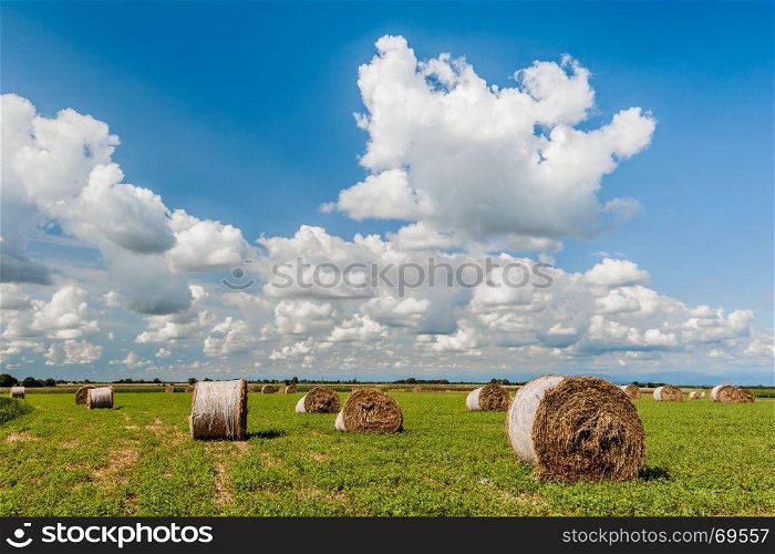 Round hay bales in harvested field and blue sky with clouds. Countryside panorama.