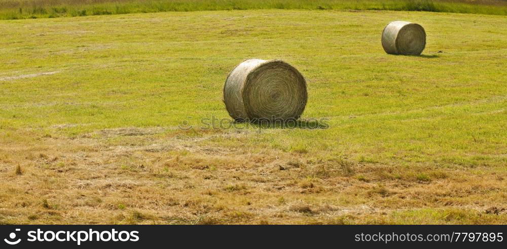 Round haystacks in a field