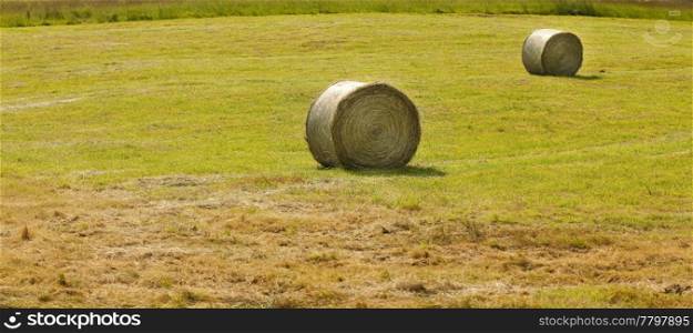Round haystacks in a field