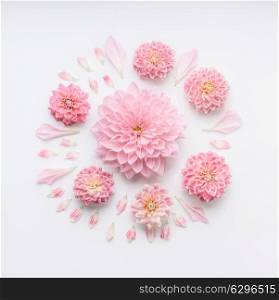 Round pink pale flowers composition with petals on white desktop background, flat lay, top view. Creative floral layout or greeting card for Mothers day, wedding , happy event or birthday