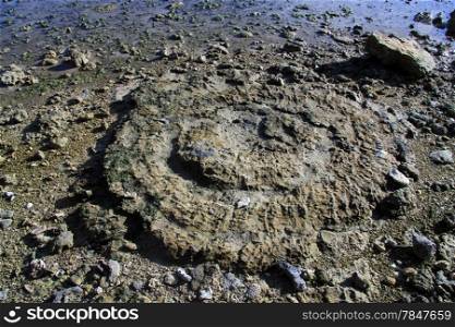 Round rock on the Pantai Sorak beach in Nias, Indonesia