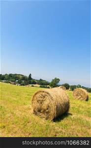 Round rolled hay bales in agricultural landscape