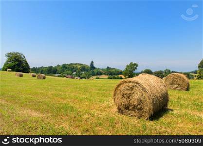 Round rolled hay bales in agricultural landscape
