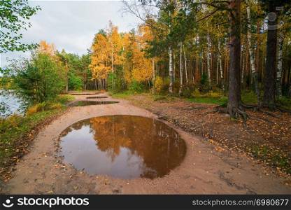 Round the puddle as mirror. Autumn landscape .. Round the puddle as a mirror.Autumn landscape .